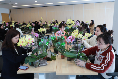 1710207506416997.jpg 第三段花艺3.jpg