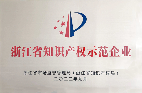 3浙江省知识产权示范企业.jpg