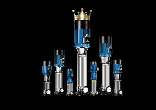 未标题-1_画板 1.jpg