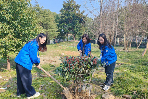 植树节活动照片1.jpg
